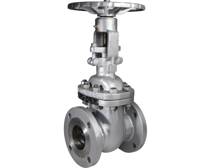 Cast steel A216WCB gate valve 143 RF ANSI150 2''